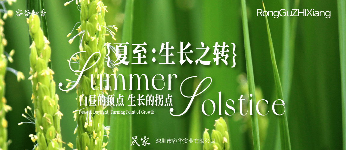夏至：生长之转